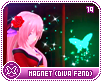 magnet-divaf2nd19