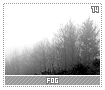 fog14