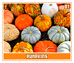 pumpkins01