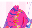 cutelook03