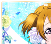 hanayokoizumi06