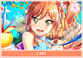 mc-Cami03