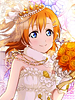 lovelive-honokakousaka02