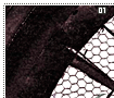 radiantglory01